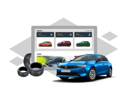 Complete **website** met autozoeker